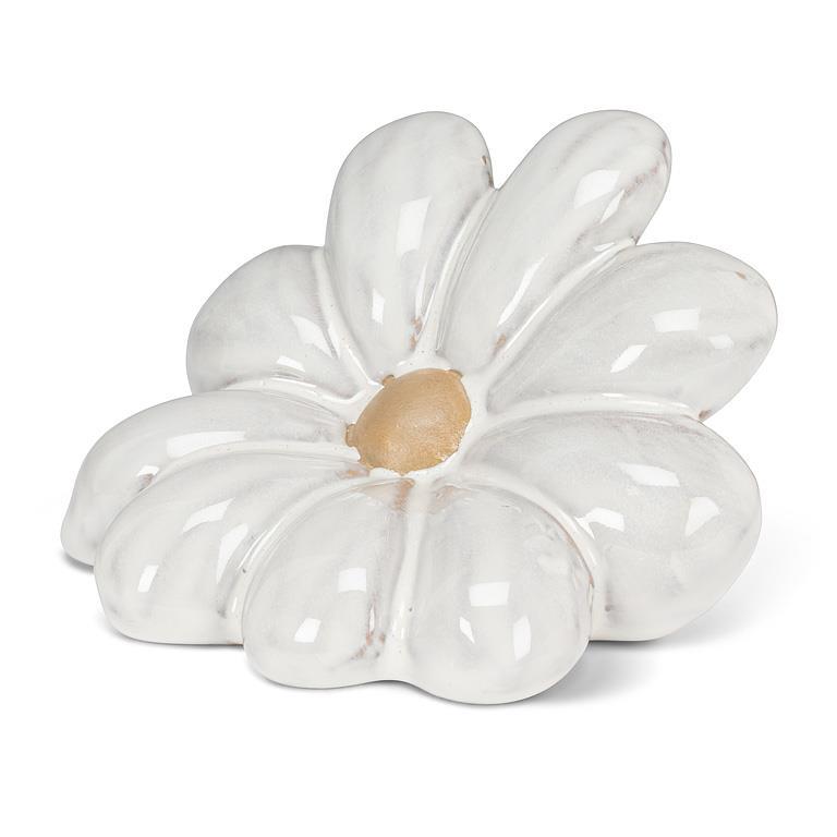Daisy Bloom