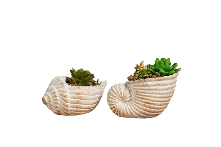 Nautilus Planter
