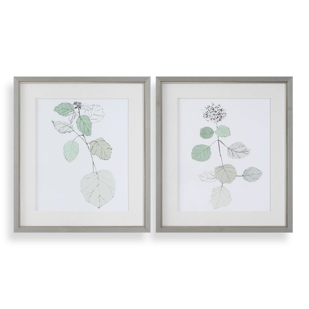 Botanical Art -29 W X 33 H X 2 D (in)