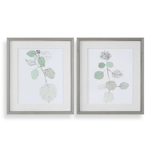 Botanical Art -29 W X 33 H X 2 D (in)