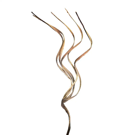 Coco Curls natural stems