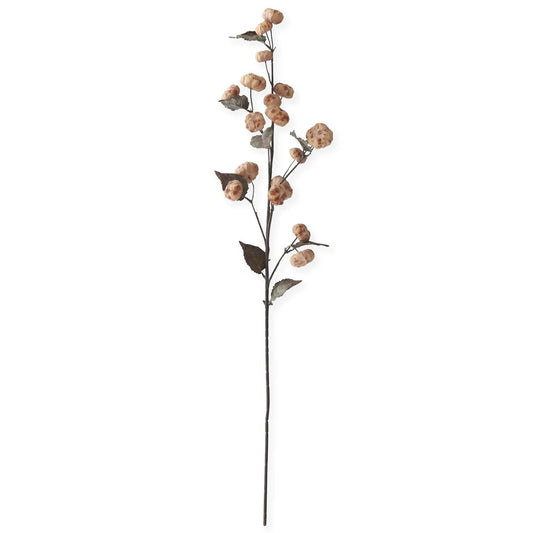 Cream w/Brown Pumpkin Stem