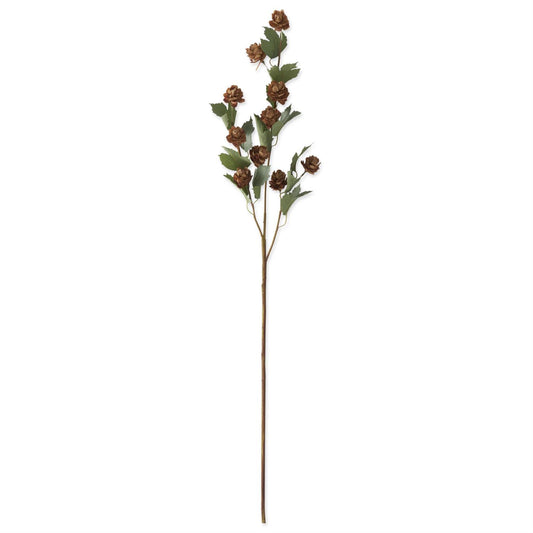 36 Inch Brown Hops Stem