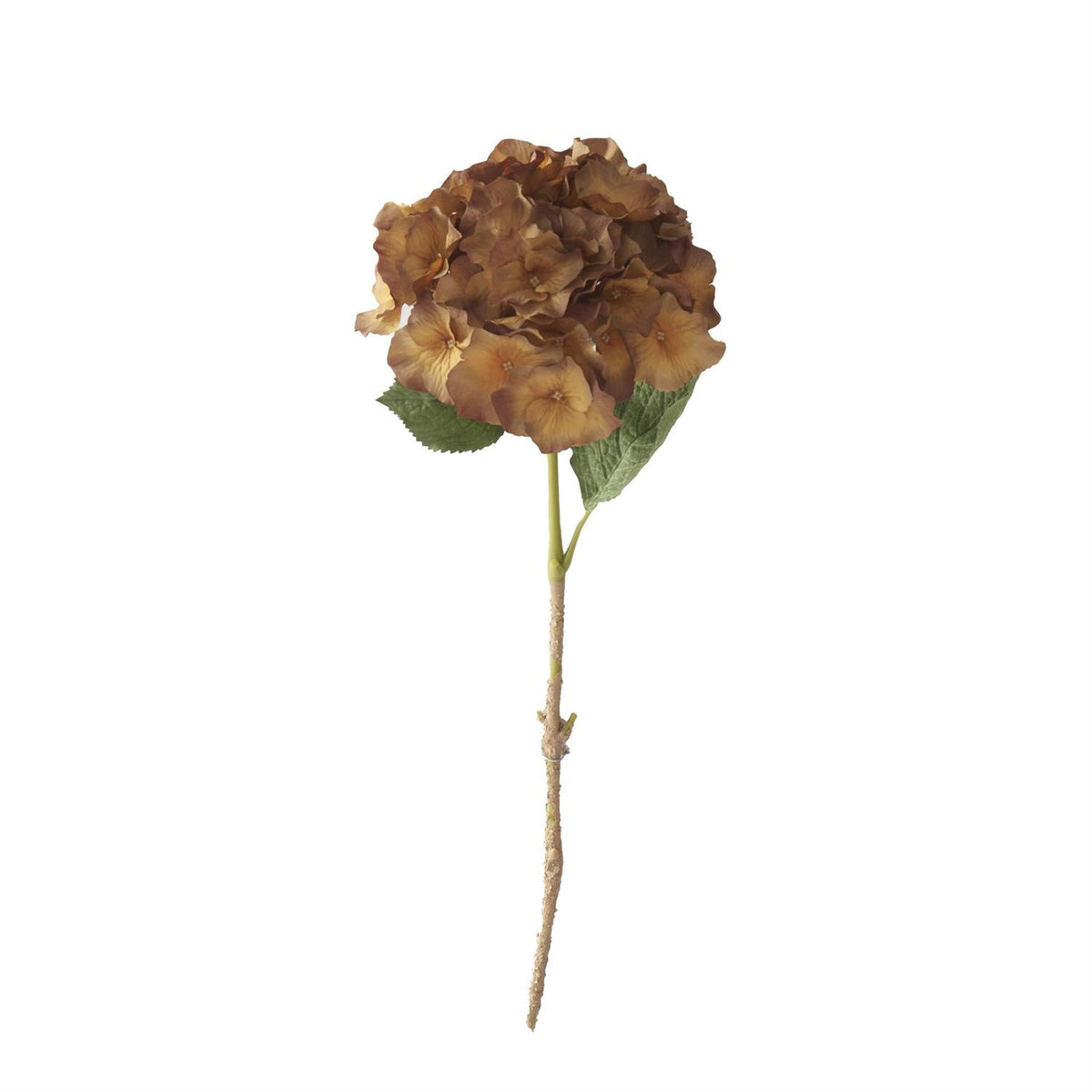 Brown/Yellow Hydrangea Stem -18"