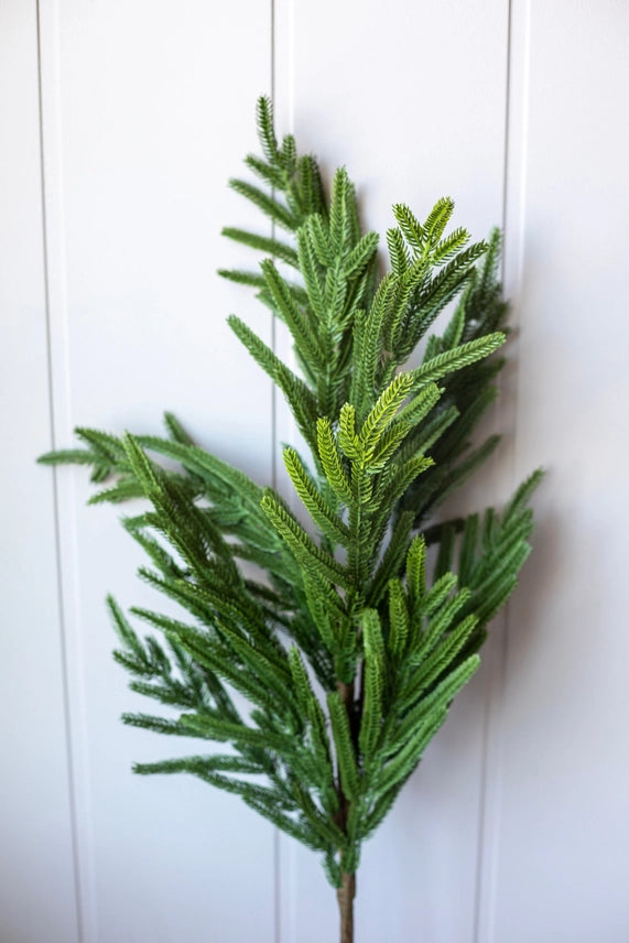 Real Touch faux Norfolk Pine stems