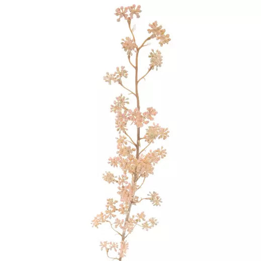 Eucalyptus Berries Stem 34.5" x 3"