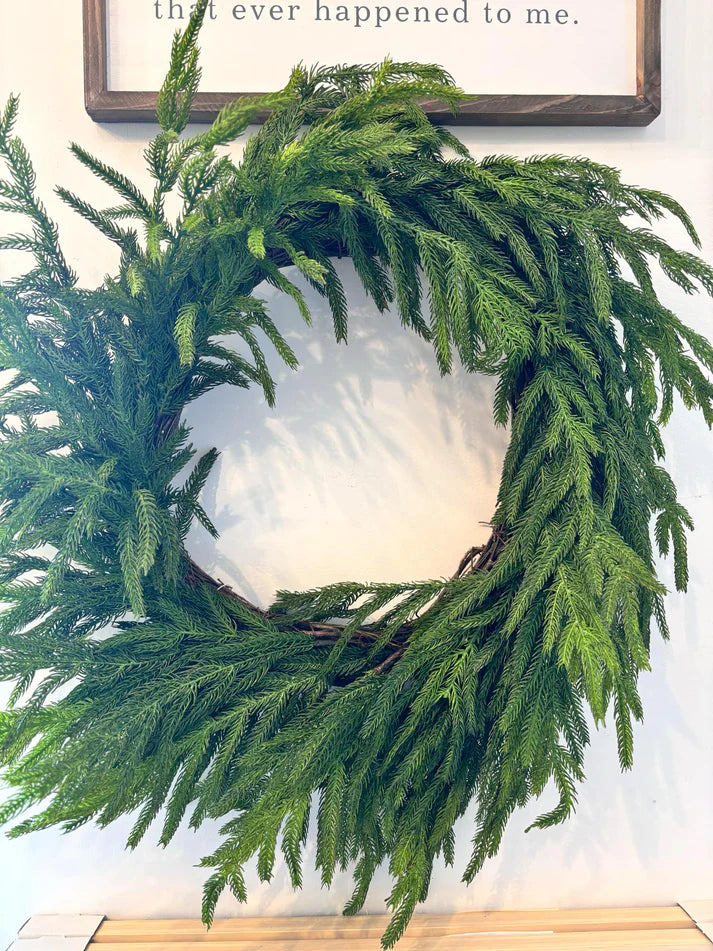 Norfolk Pine Wreath 12"