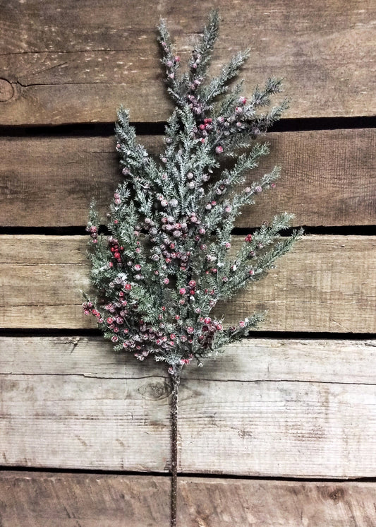 45" Cedar and Red Berry Hanging Spray