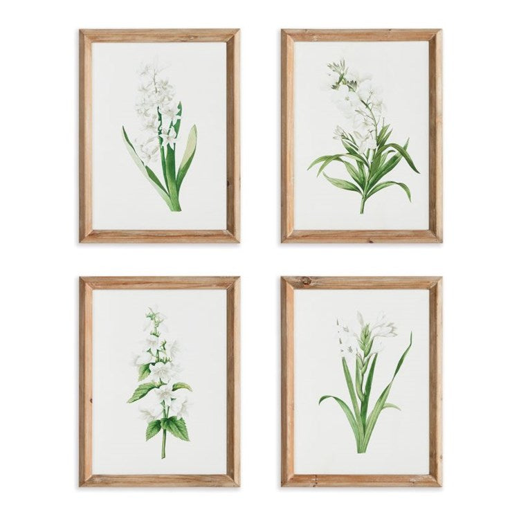 Garden Bloom Print