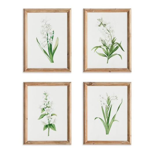 Garden Bloom Print