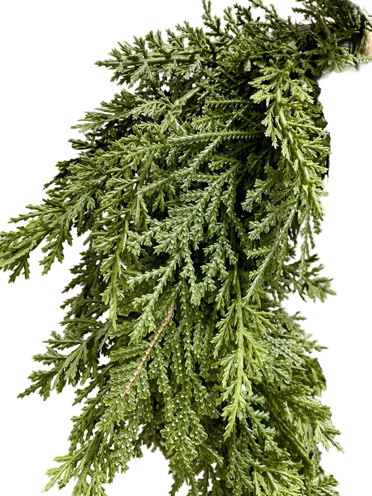Fresh Touch Northern White Cedar Heart Shape Wreath.
