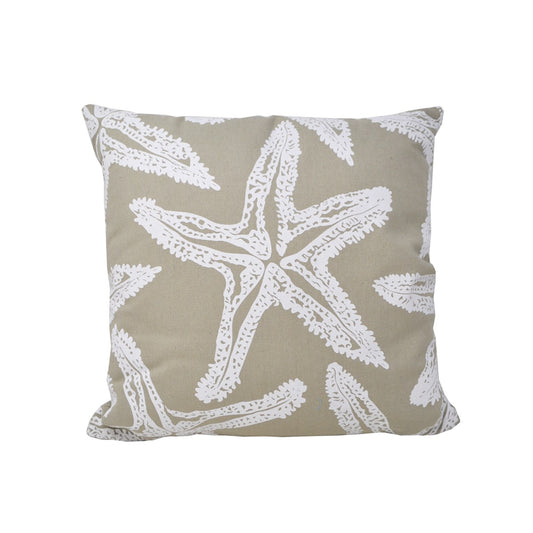 Cushion Starfish