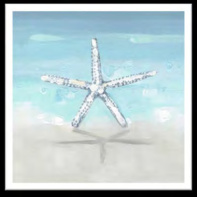 Star Fish and Sand Dollar  Custom Art