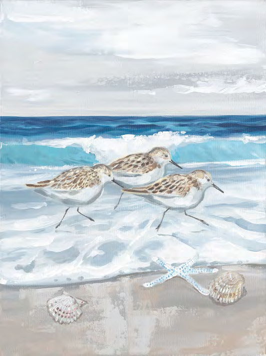 Sandpiper on the Beach Custom Art
