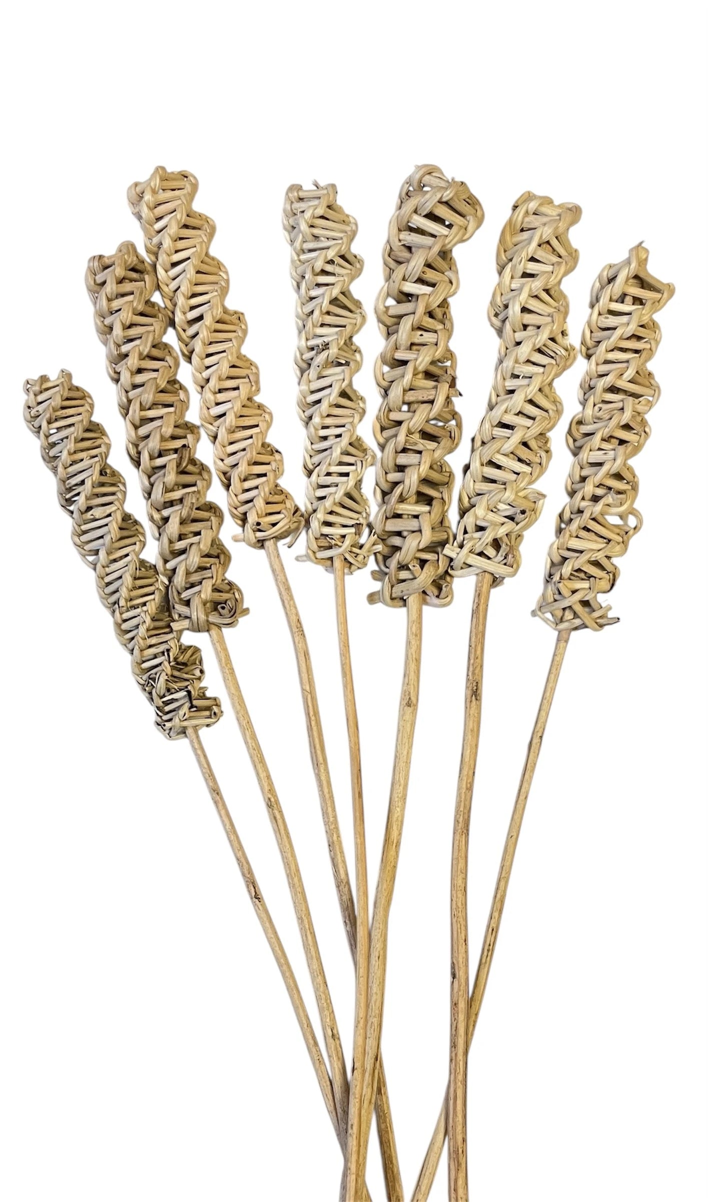 Lata Roller Stems (7 stems)