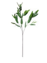 33"H | Blade Eucalyptus Spray w/Seeds | Green