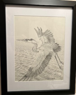 Original Pencil to Paper Blue Heron