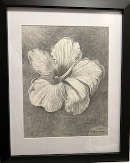 Original Art - PENCIL ON PAPER Hibiscus Flower