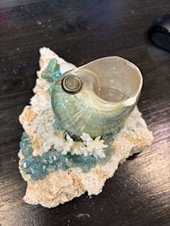 Elegant seashell oil lamps