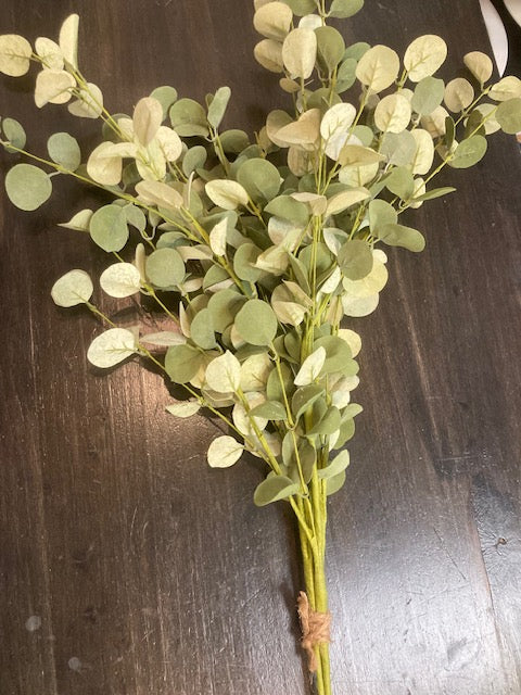 Eucalyptus 32" Bundle of 3