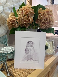 Burrowing Owl Print