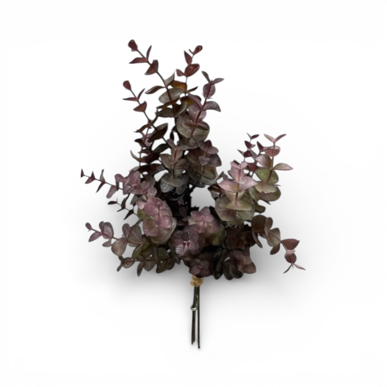 13" Burgundy Eucalyptus