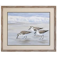 Sandpiper II 36x30 Framed Art Print