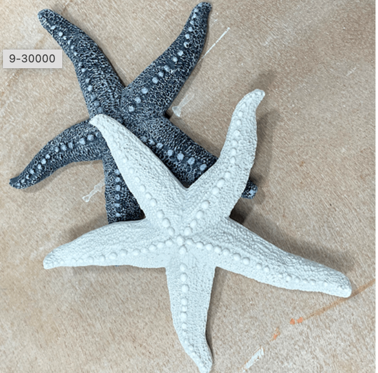 Starfish 6.5"