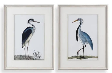 Shore Birds Wall Art