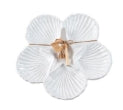Shell Sectional Platter Set