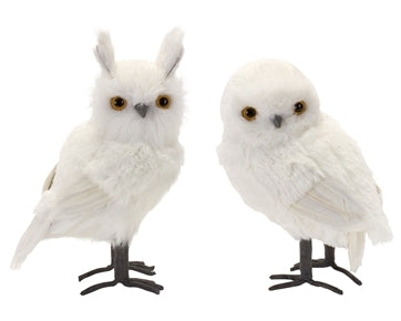White Owl