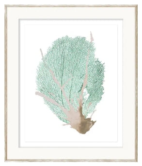 Spa Coral III Glass Framed Art