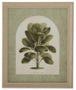 Tropical Plant Print w/ Burlap Wrapped Frame