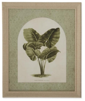 Tropical Plant Print w/ Burlap Wrapped Frame