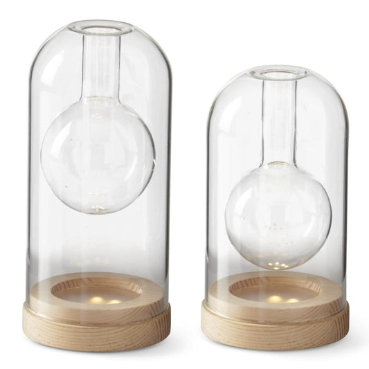 Clear Glass LED Cloche Bud Vase w/ Timer