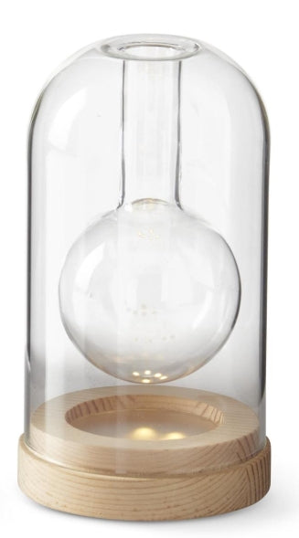 Clear Glass LED Cloche Bud Vase w/ Timer