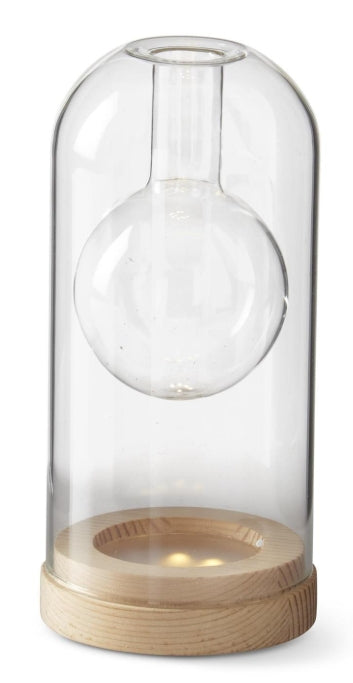 Clear Glass LED Cloche Bud Vase w/ Timer