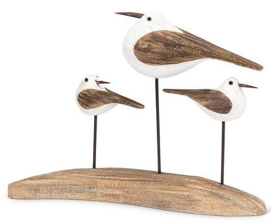 Triple Sea Birds
