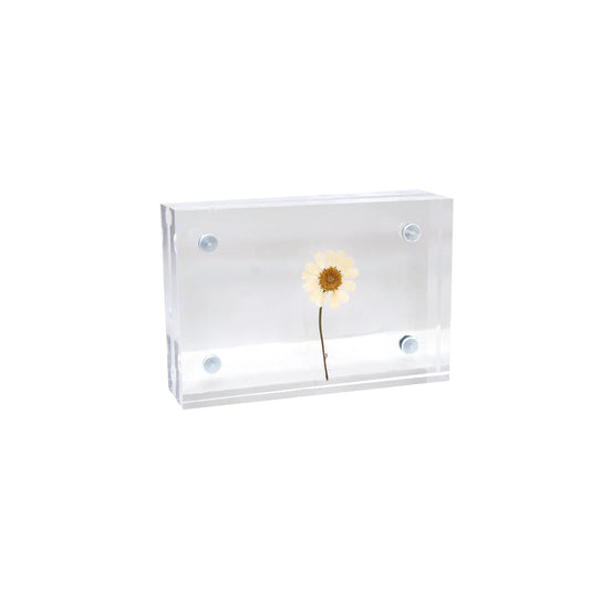 Acrylic Standing Frame- 4"x6"
