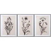 Black Beige Flowers 30x39 Three Styles