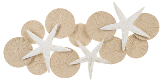 Layered Starfish and Sand Dollar Wall Decor