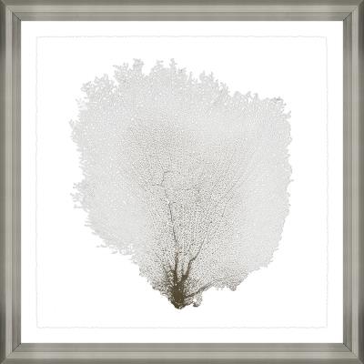 Beauty Under the Sea VI