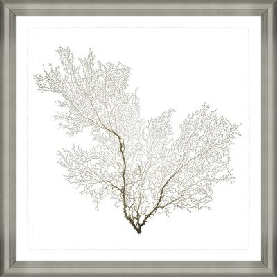 Beauty Under the Sea