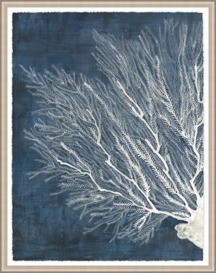 Density of Coral I  36.00 in x 46.00 in