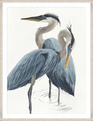 Mirrored Nature Blue Heron