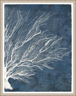 Density of Coral II 36.00 in x 46.00 in