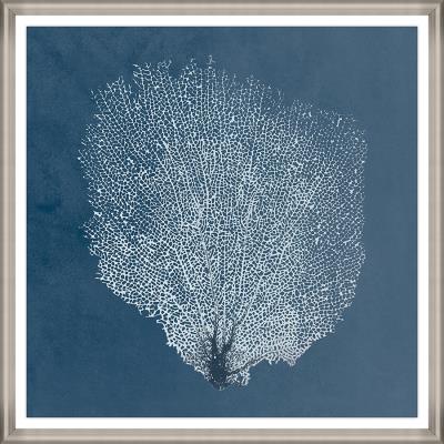 Beauty Under the sea