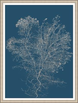 Reef Radiance I Art- 30.00 in x 40.00 in