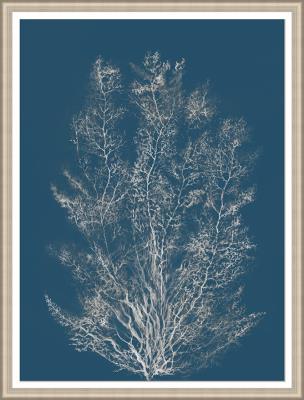 Reef Radiance I Art- 30.00 in x 40.00 in