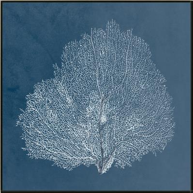 Beauty Under the Sea on Canvas